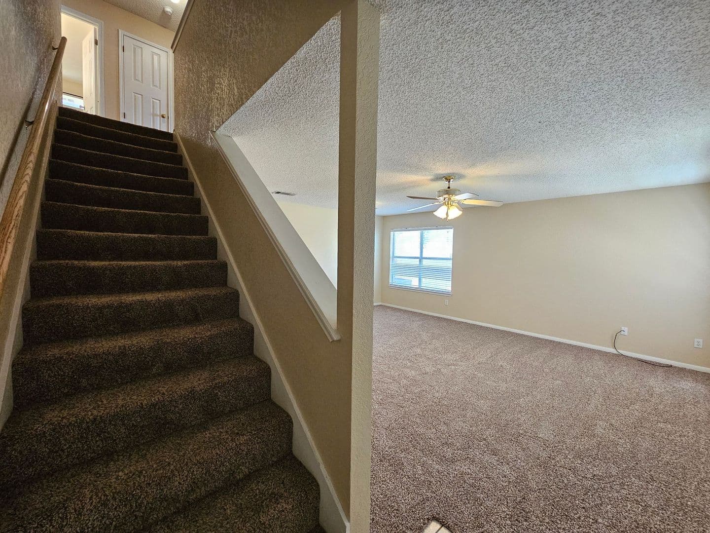 Harker Heights House: 1701 Tanglewood Drive