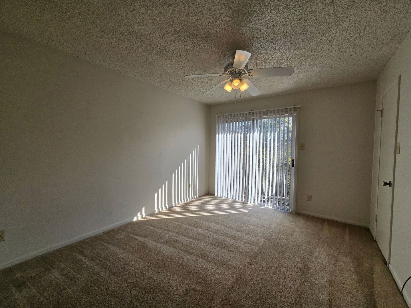 Harker Heights Apartment: 1207 Boulder Run - C