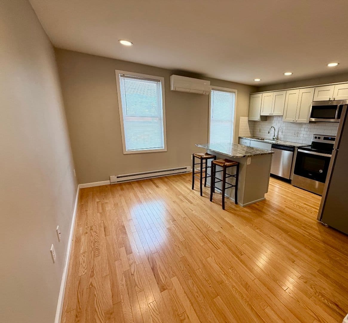 Ithaca Apartment: 209 Meadow St