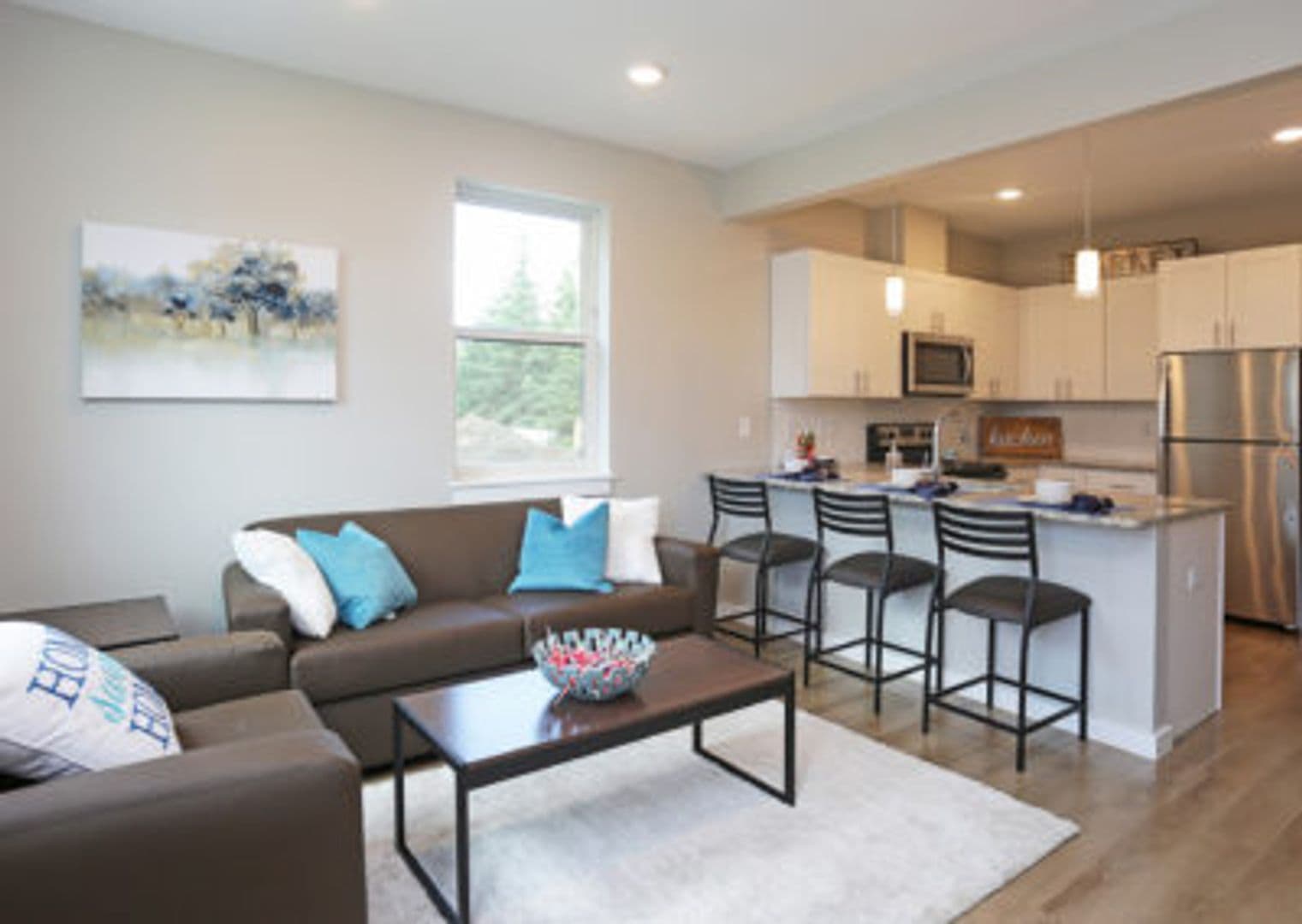 Ithaca Apartment: 802-812 Dryden Rd