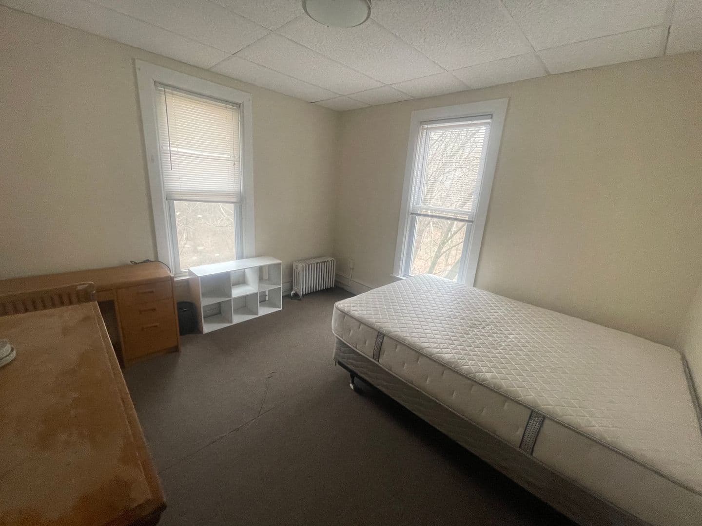 Ithaca Apartment: 215 Giles St