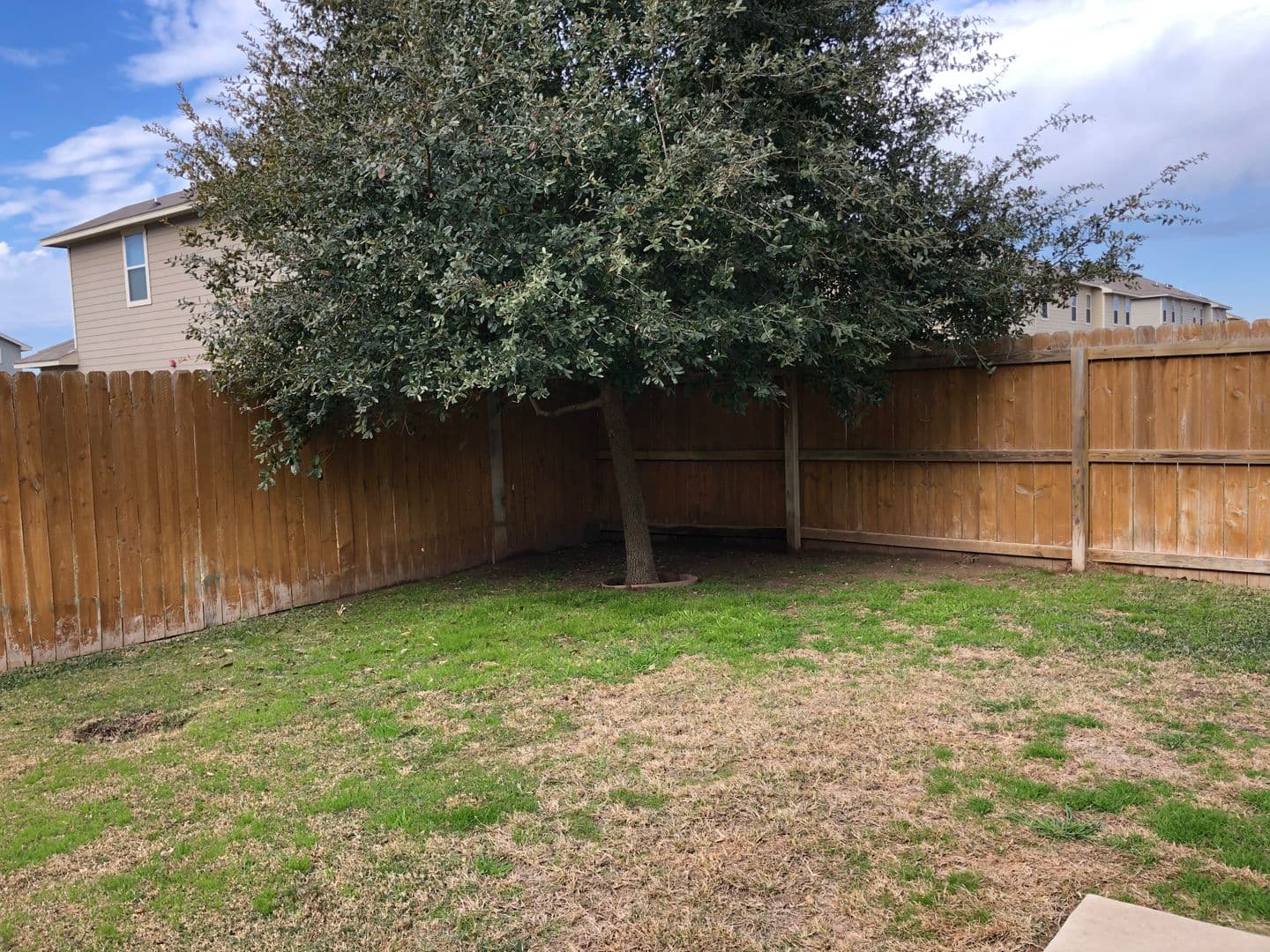 Selma Townhome: 16815 Dancing Ava - 1*