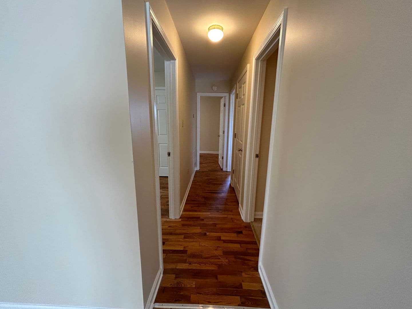 Brownsville Apartment: E. College St.