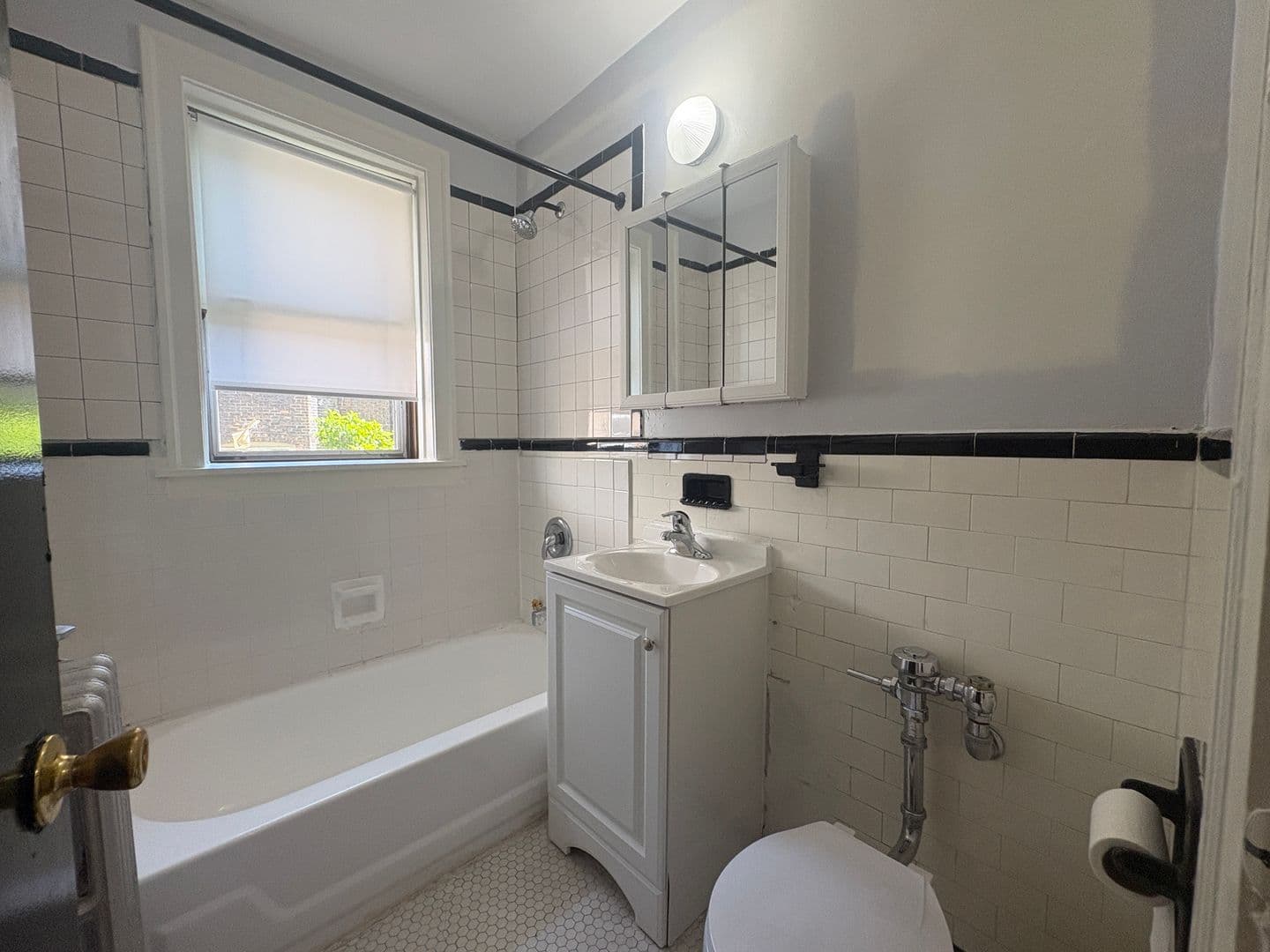 Chicago Apartment: 917 W Eastwood Ave