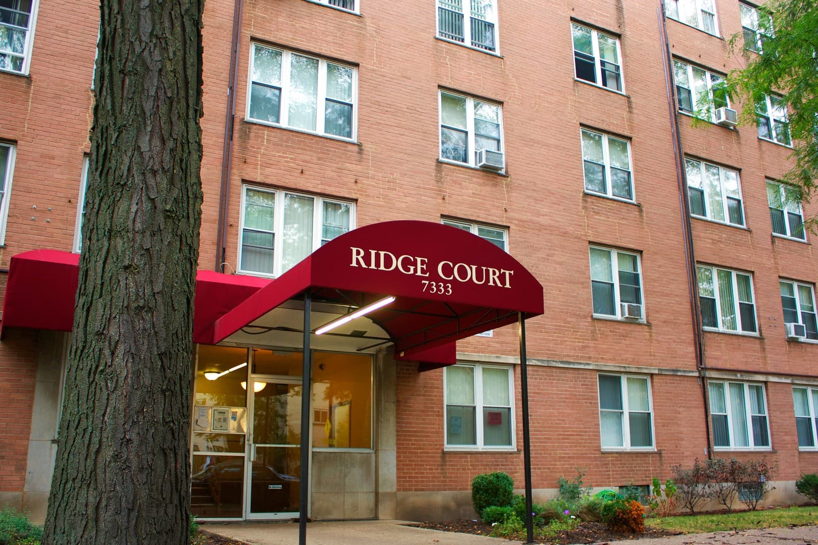 Chicago Apartment: 7333 N. Ridge Blvd
