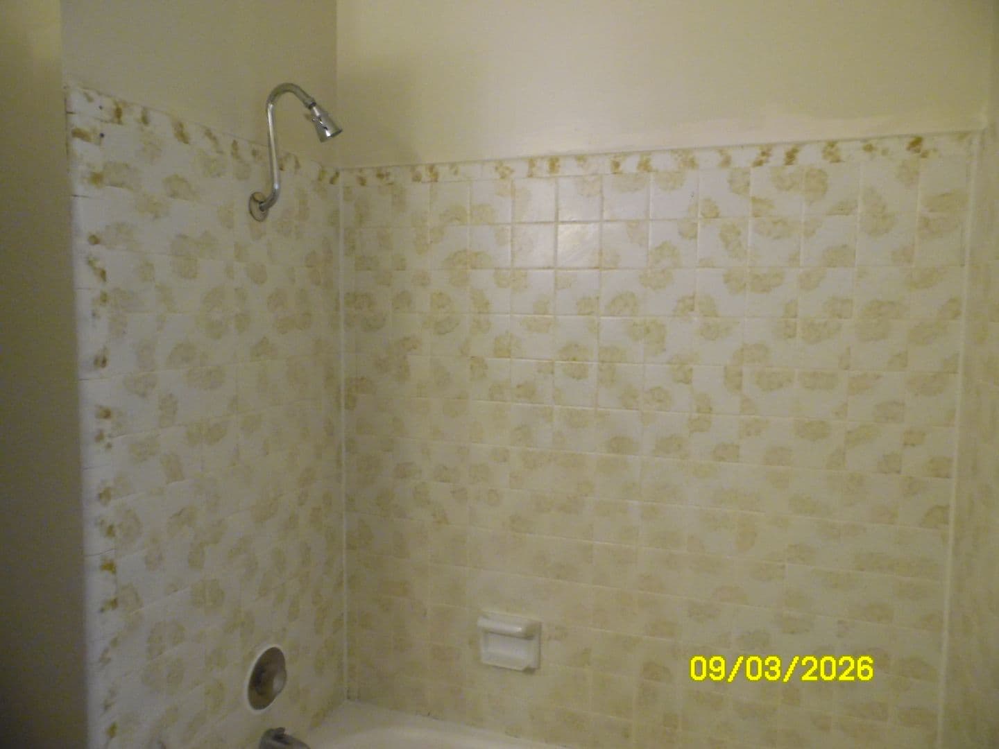 Ashland Townhome: 102 Garfield Street - 16