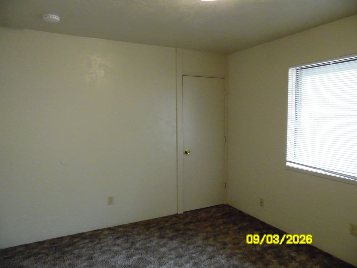 Ashland Townhome: 102 Garfield Street - 16