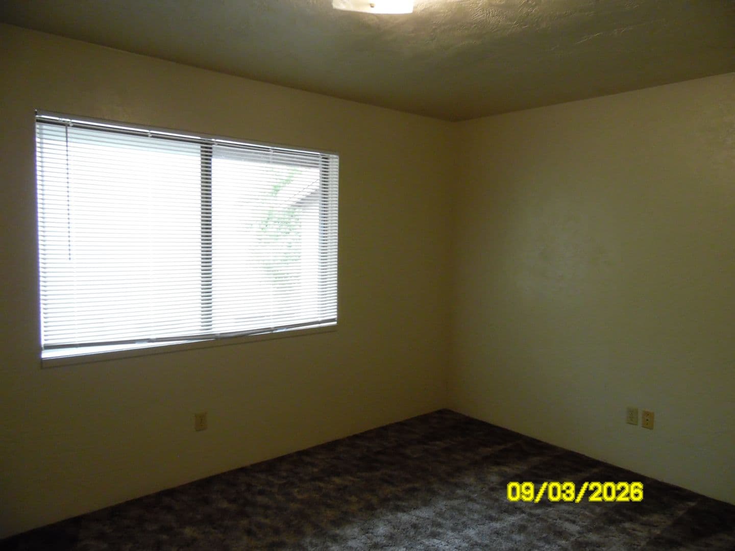 Ashland Townhome: 102 Garfield Street - 16