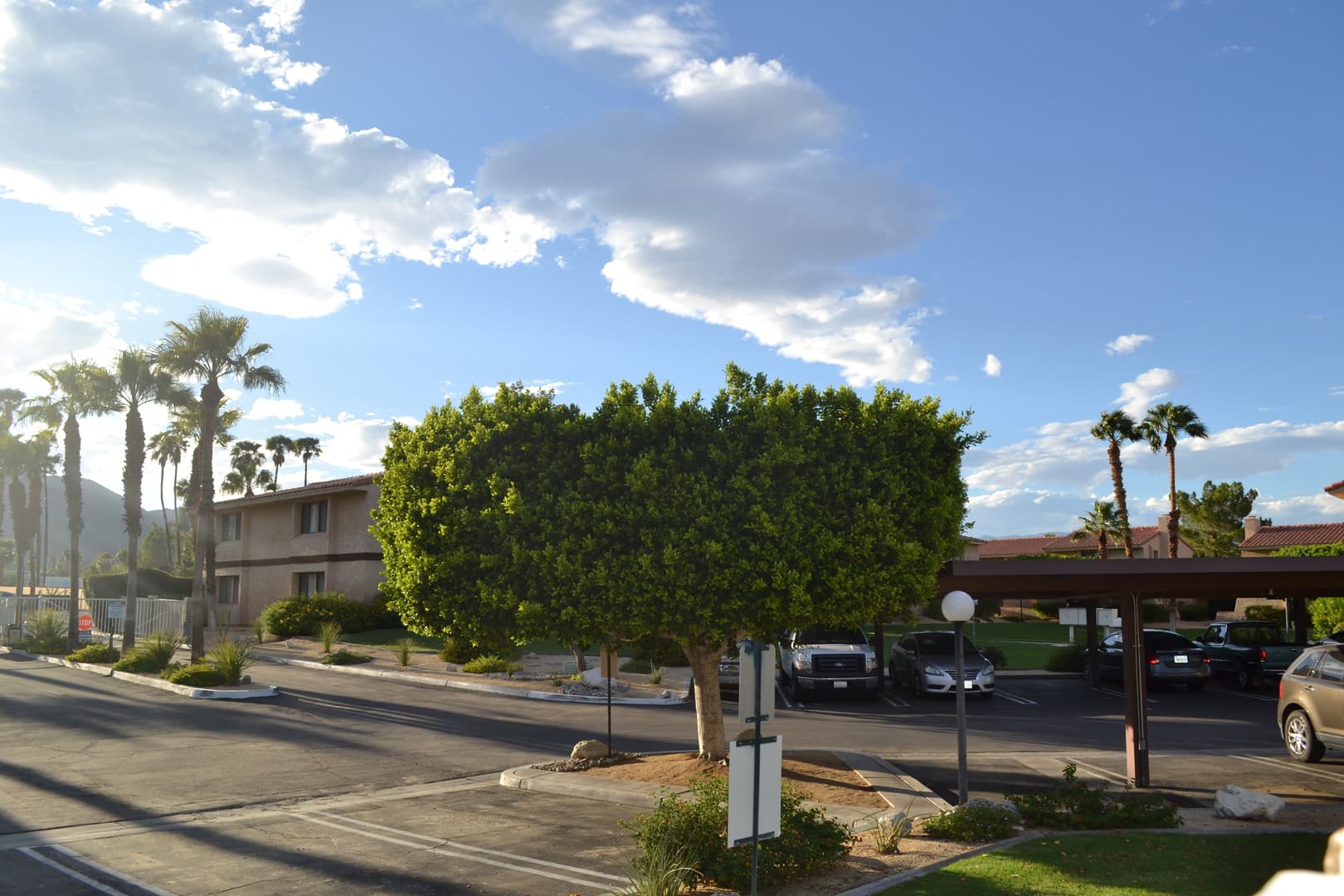 Palm Springs Apartment: 2636 N. Indian Canyon Dr.