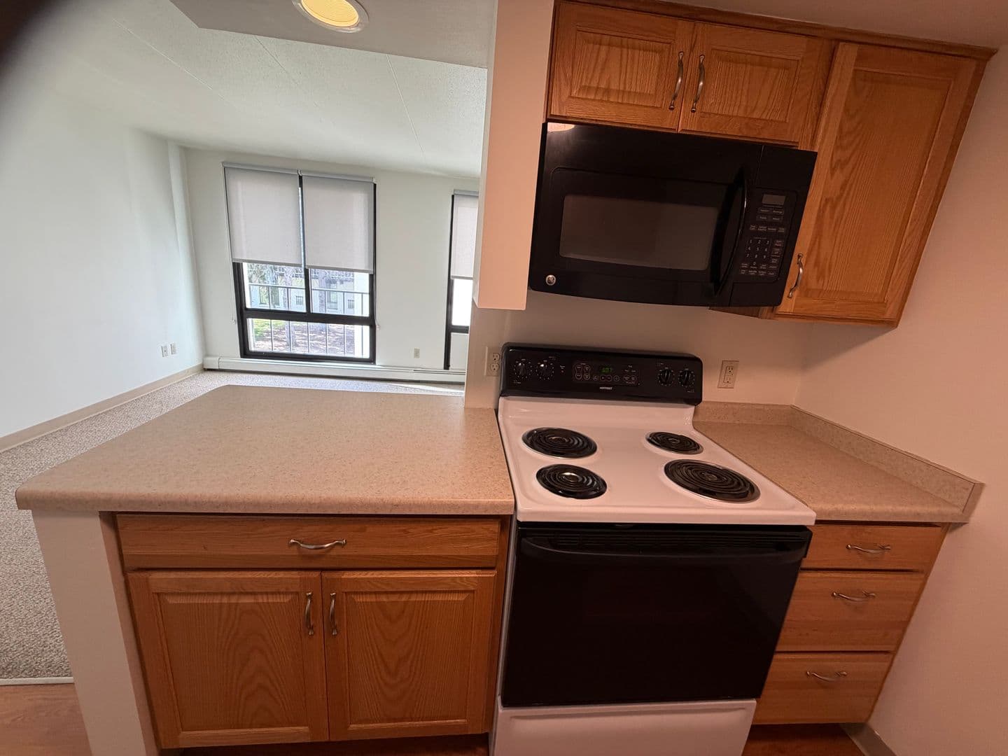 Milwaukee Apartment: 7290 W Dean Rd