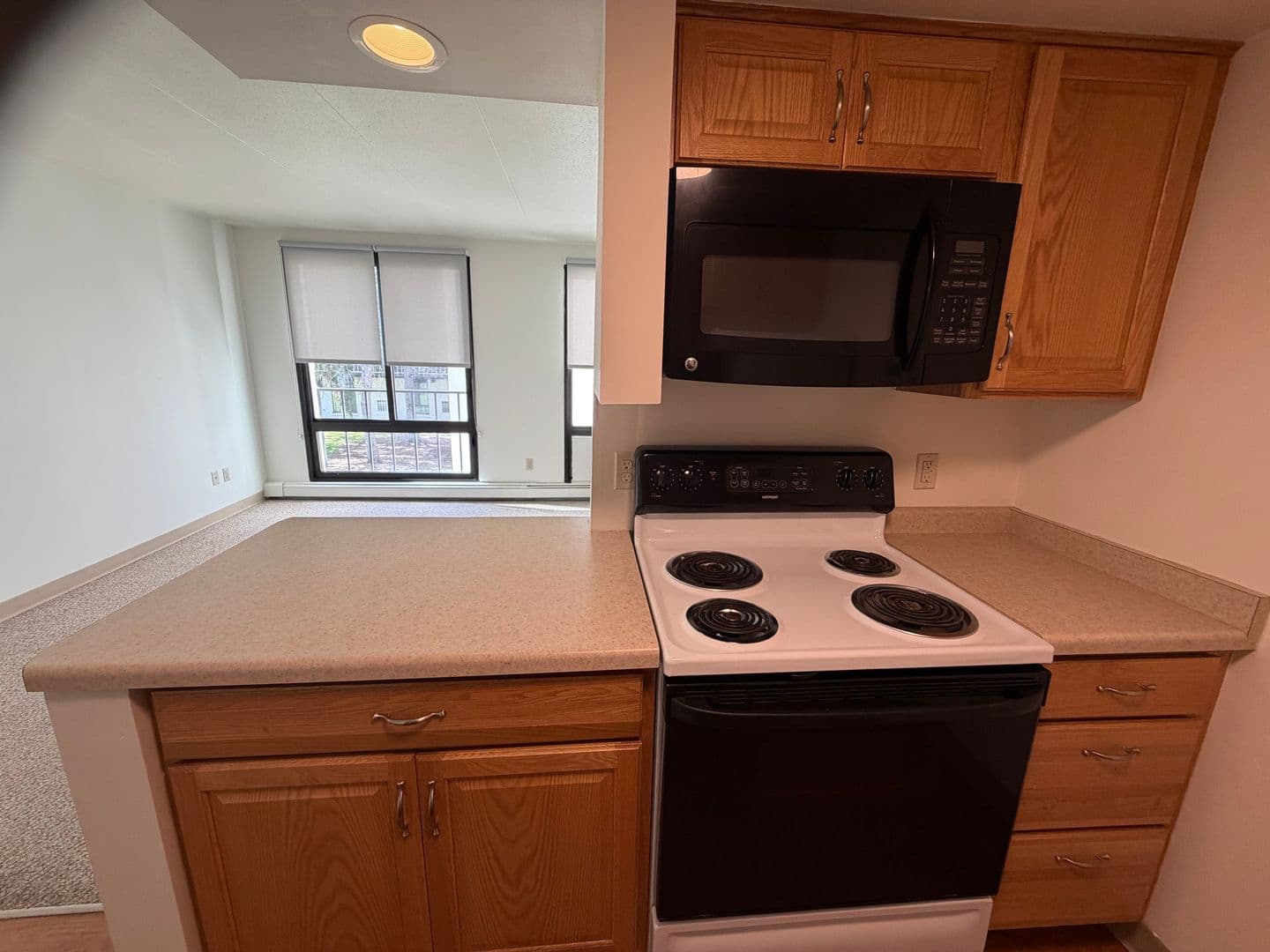 Milwaukee Apartment: 7290 W Dean Rd