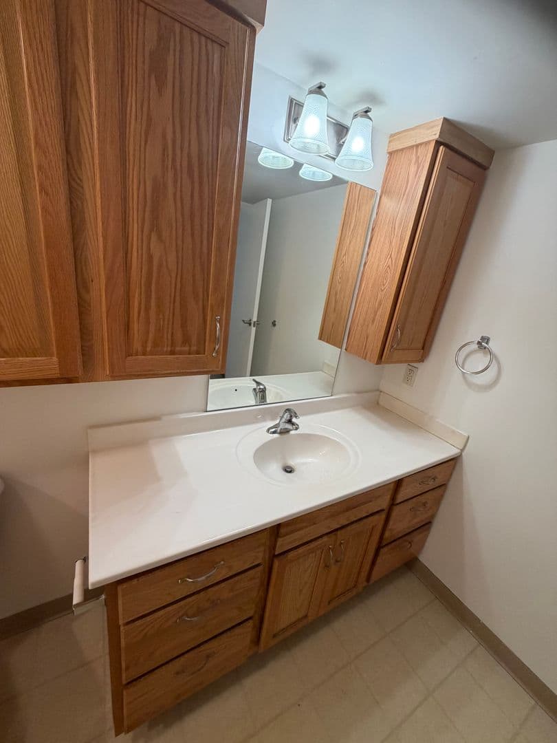 Milwaukee Apartment: 7290 W Dean Rd