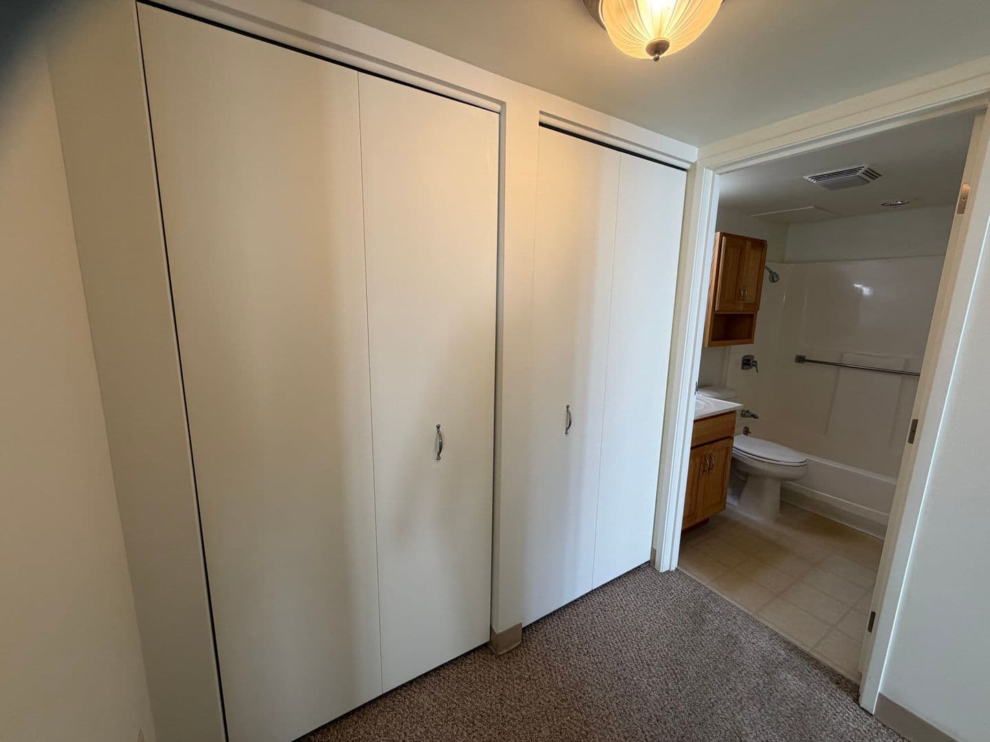 Milwaukee Apartment: 7290 W Dean Rd