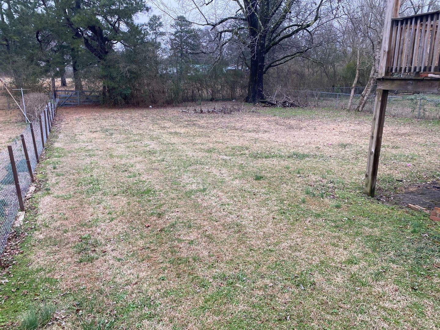 Anniston House: 83 Pelham Heights