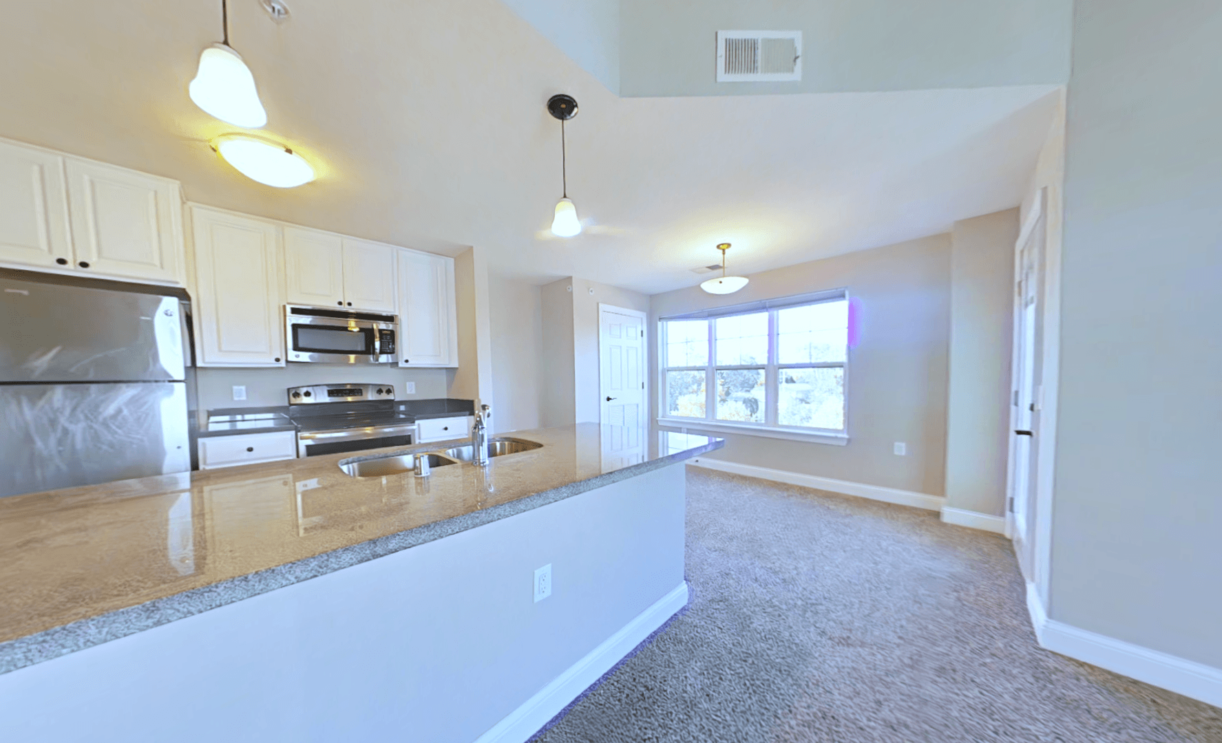 Delafield Apartment: 411 Bleeker Street and 828 Division Street