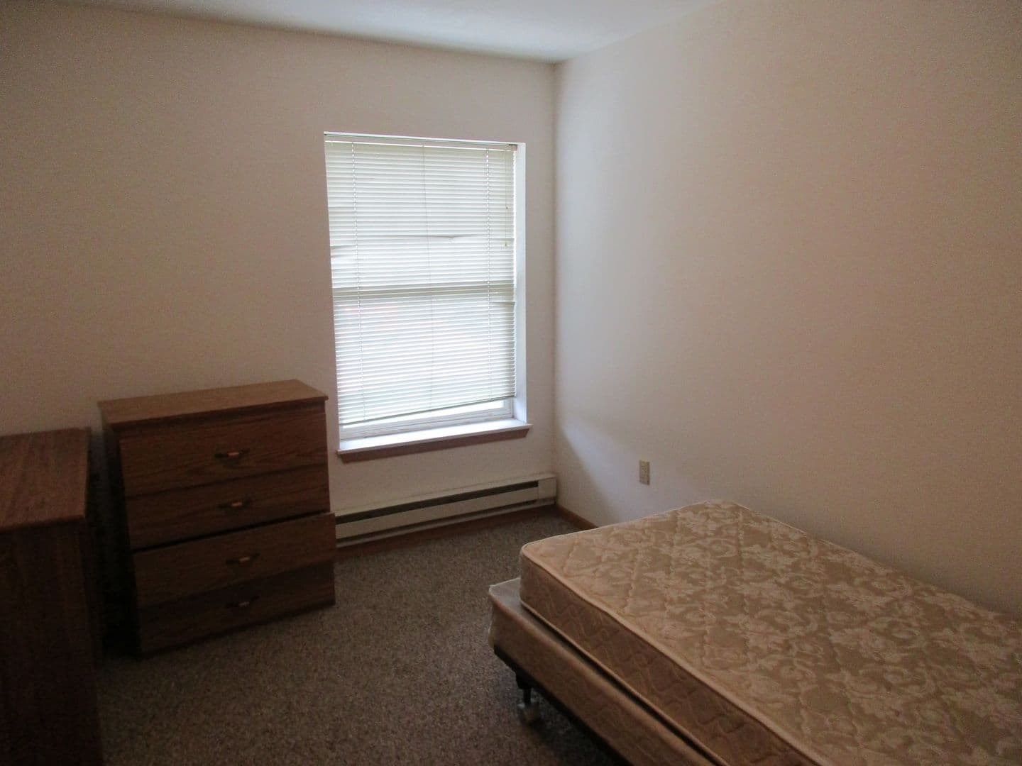 Madison Apartment: 118 North Brooks Street