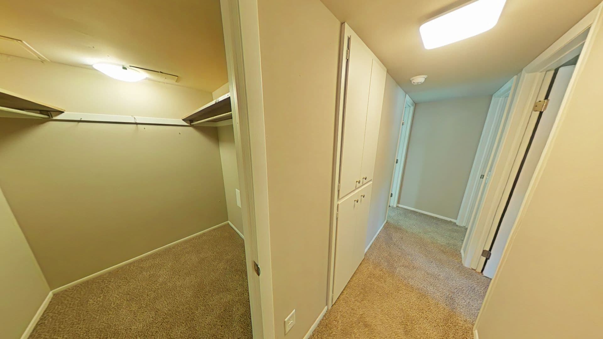 Madison Apartment: 3205 Stevens Street