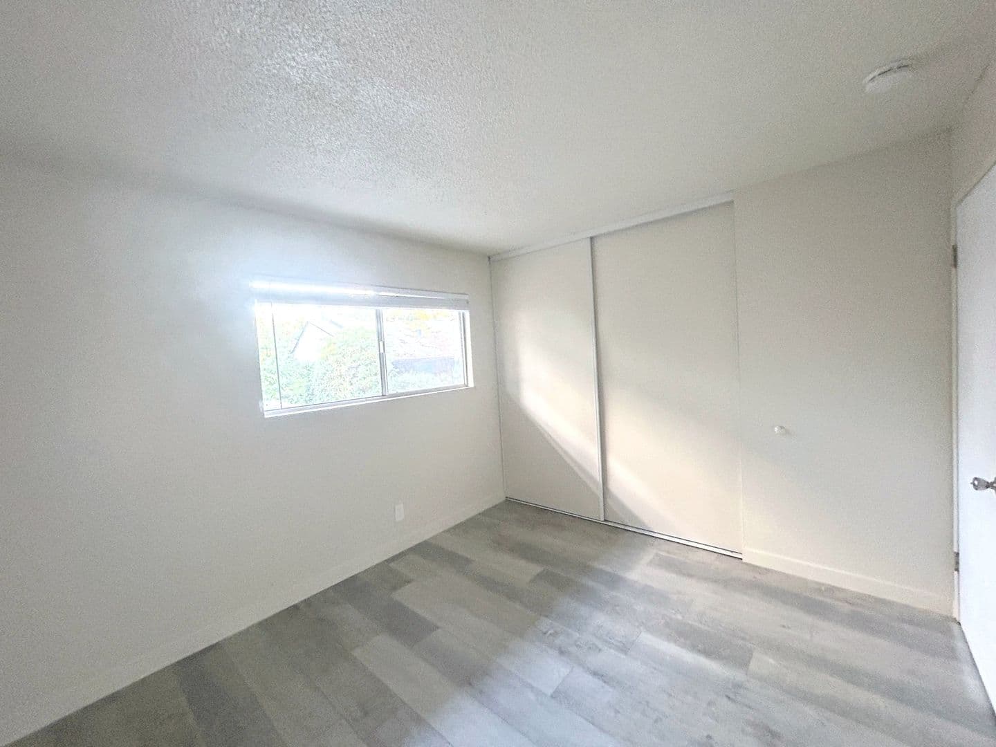 Berkeley Apartment: 2212 Blake Street