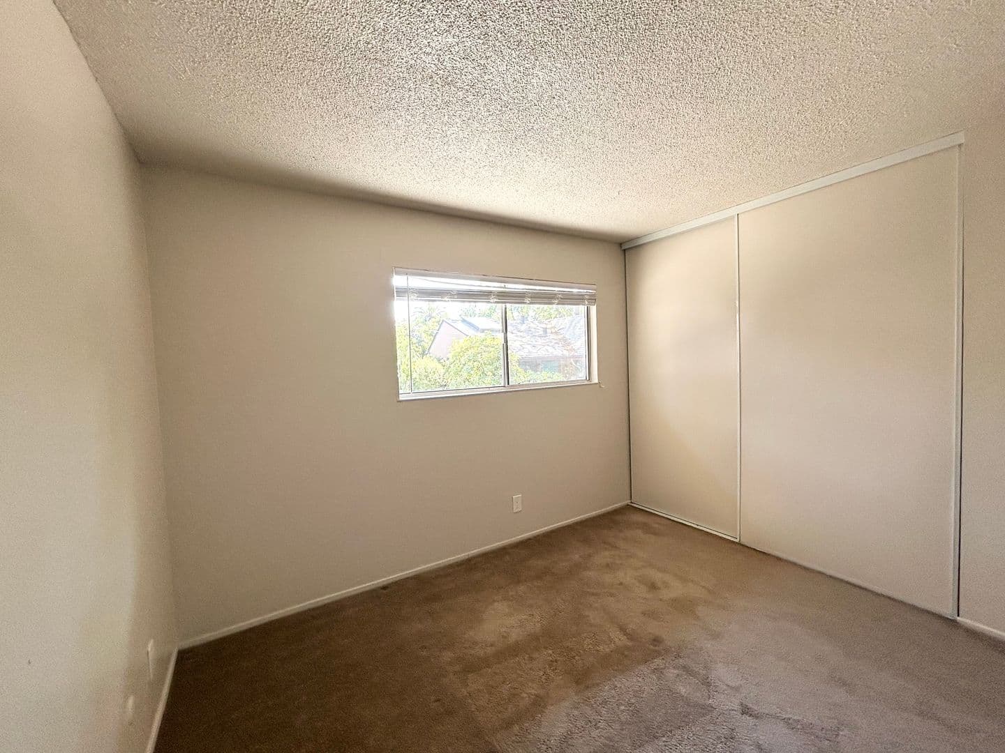 Berkeley Apartment: 2212 Blake Street