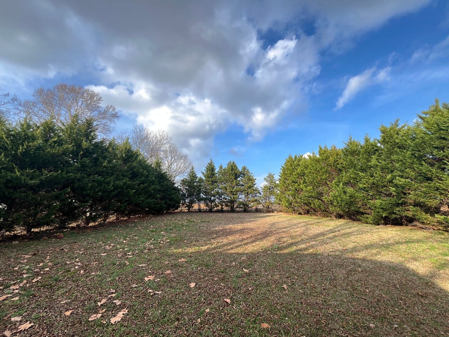 New Market House: 117 Hubert Rd