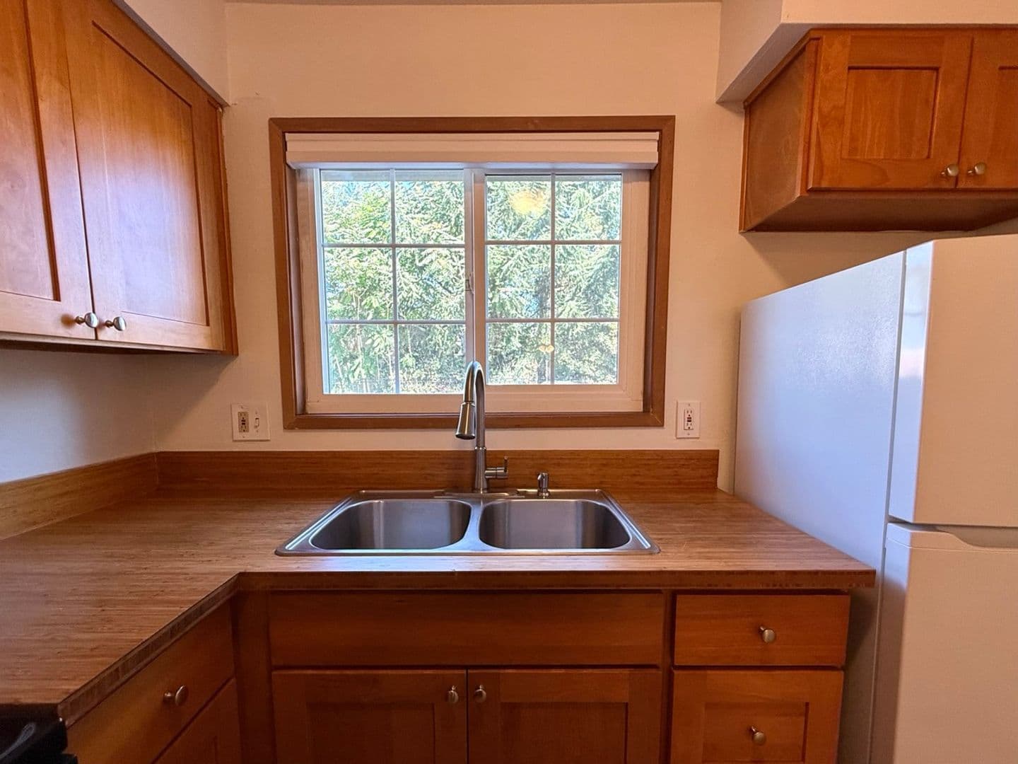 Portland Apartment: SE 40th Ave, 97202