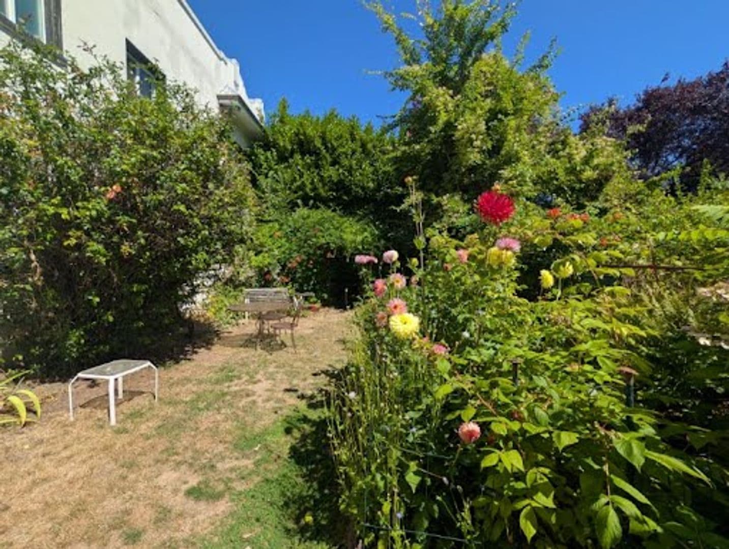 Portland Apartment: 1650 SE Hawthorne Blvd