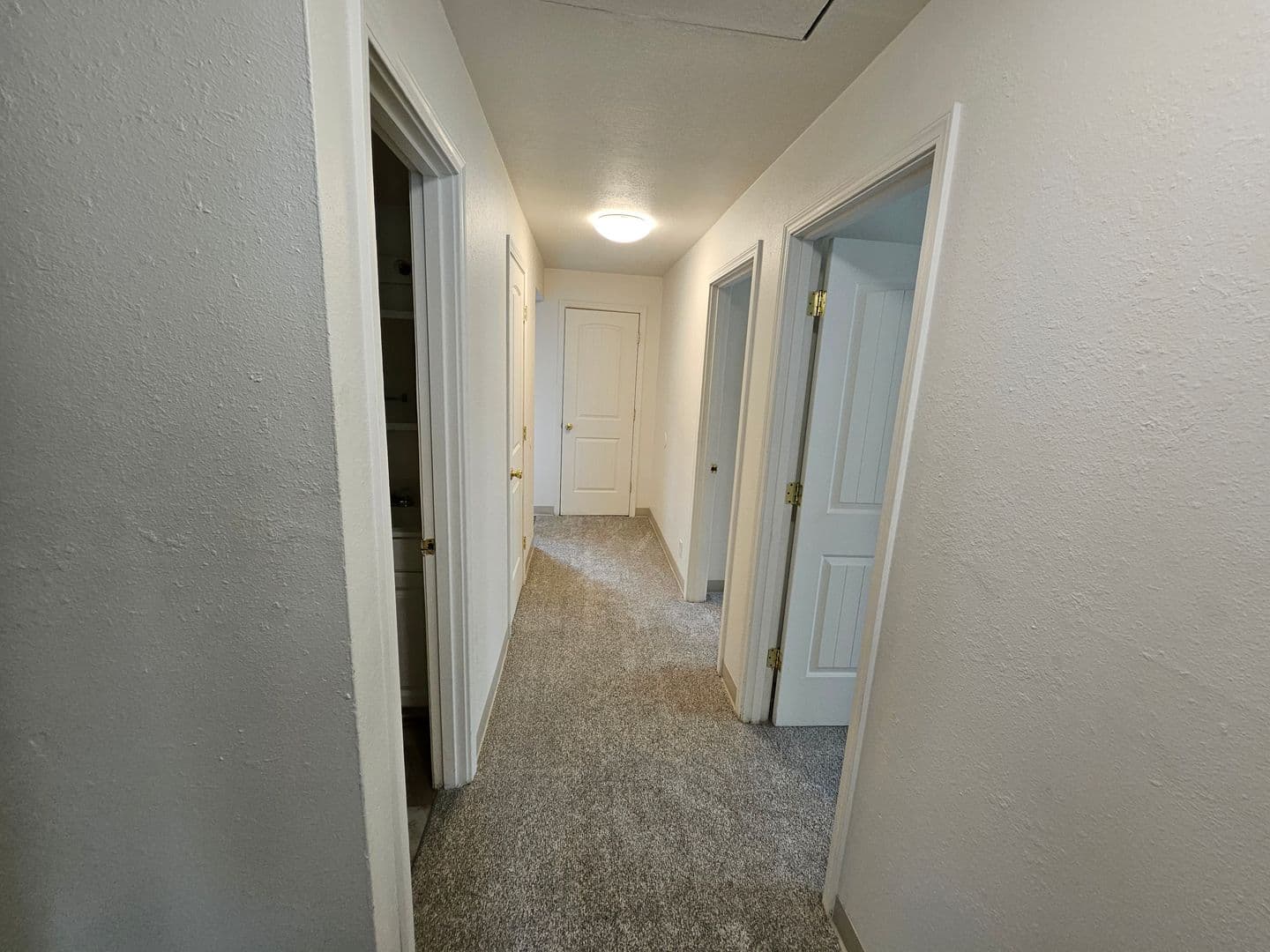Springfield Apartment: 1250 Rainbow Dr.