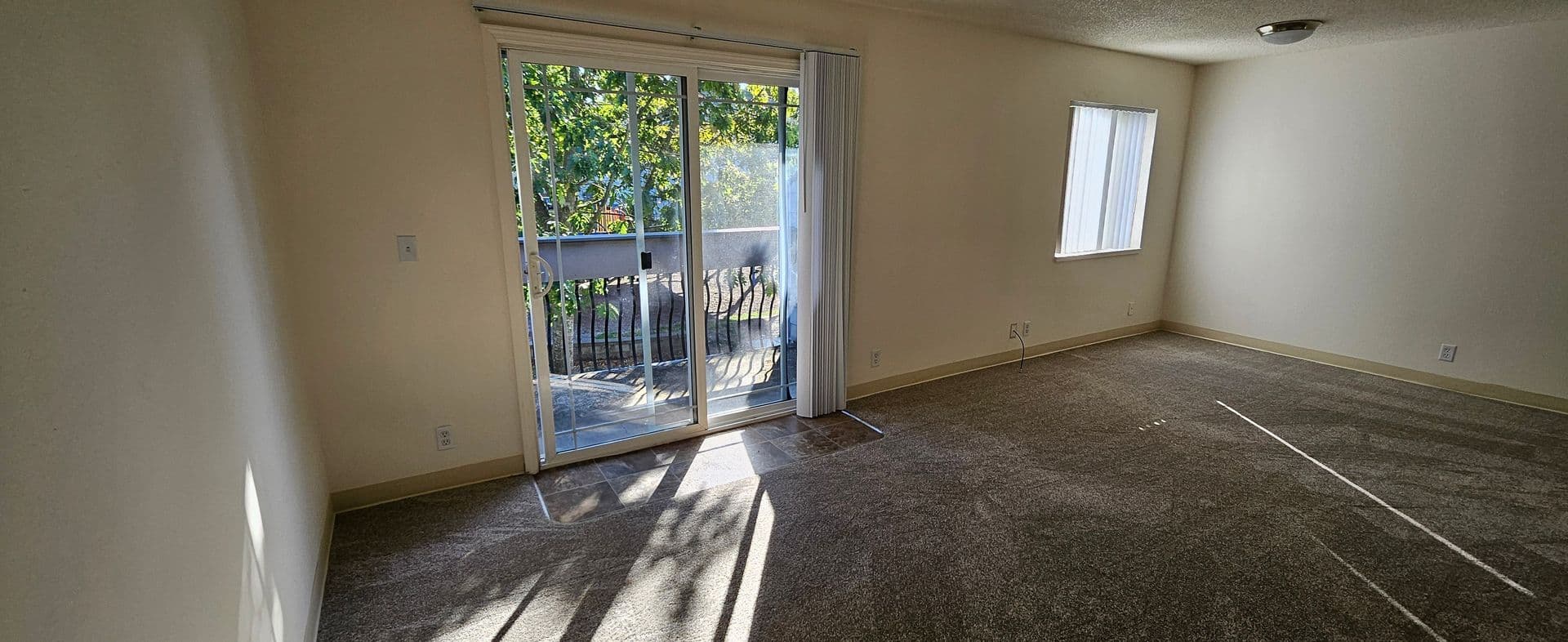 Springfield Apartment: 1250 Rainbow Dr.