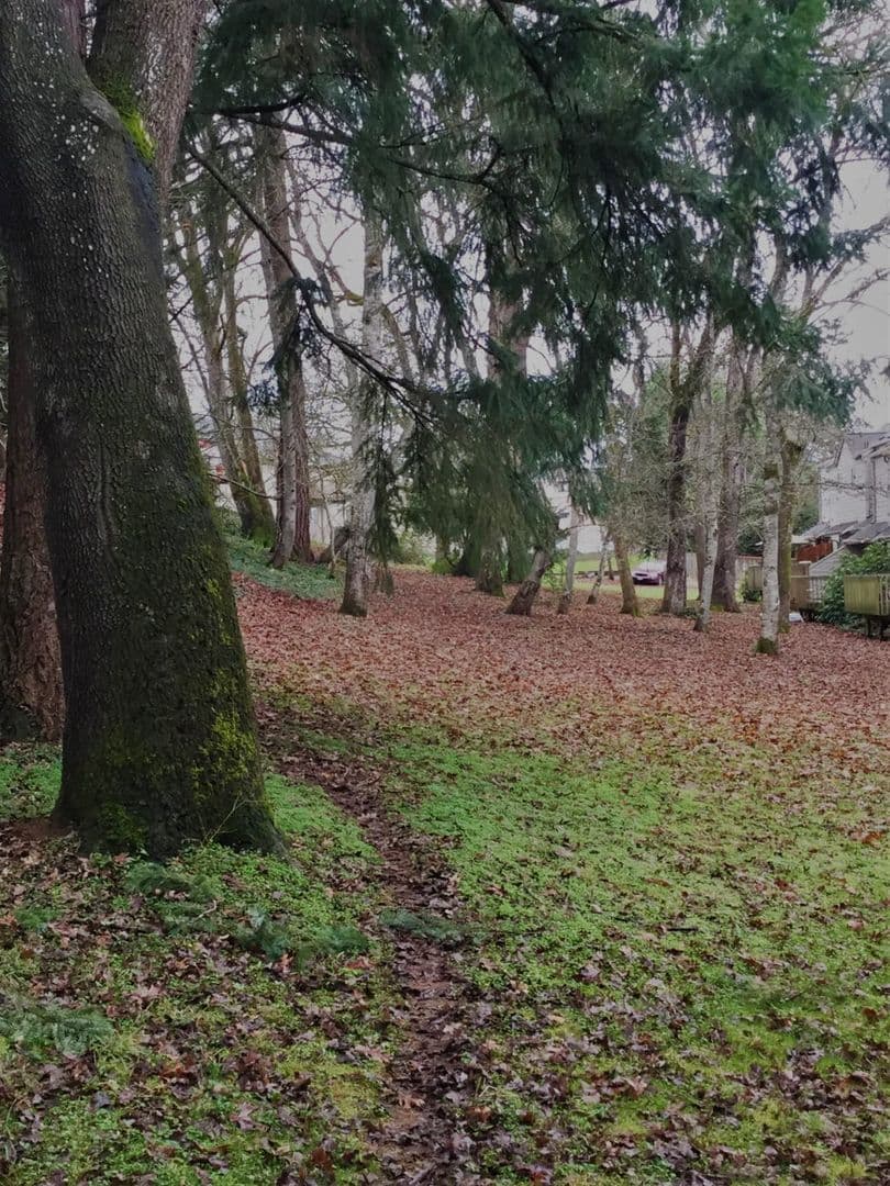 Eugene Apartment: 3050-3098 W. 17th, 2930-3118 Ivy Glen Dr., 1780 Oak Patch Rd.