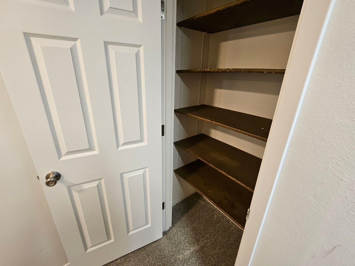 Springfield Apartment: 1250 Rainbow Dr.