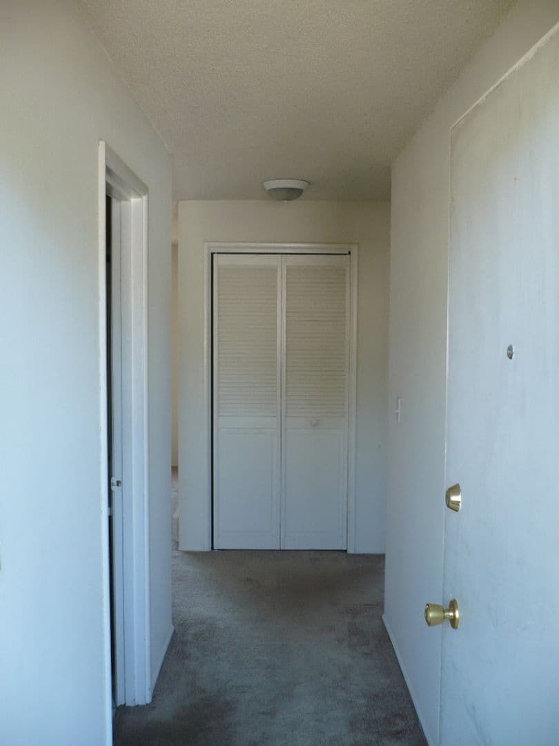 Eugene Apartment: 1262 Lawrence St.