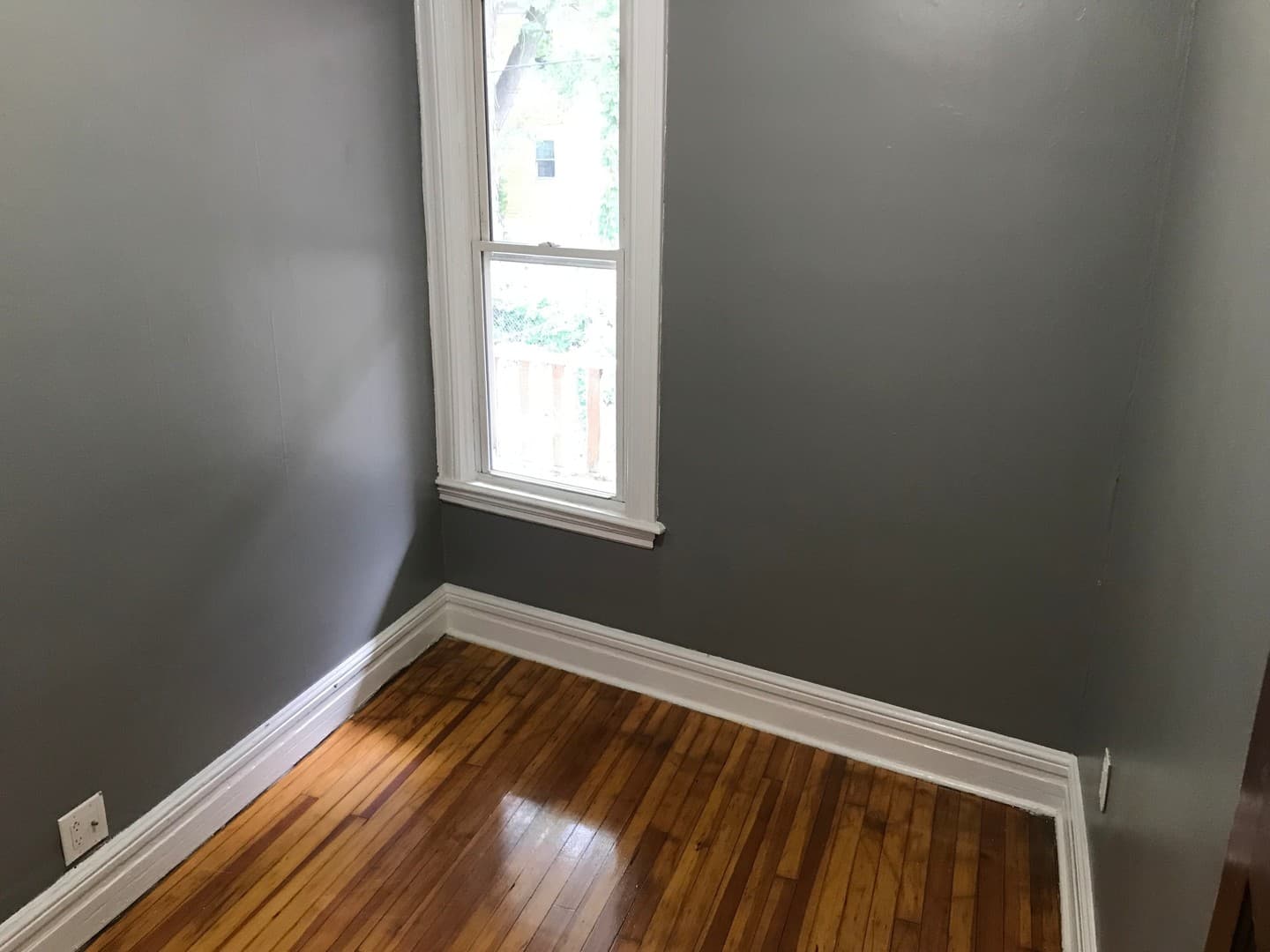 Albany Apartment: 58 Elberon Place