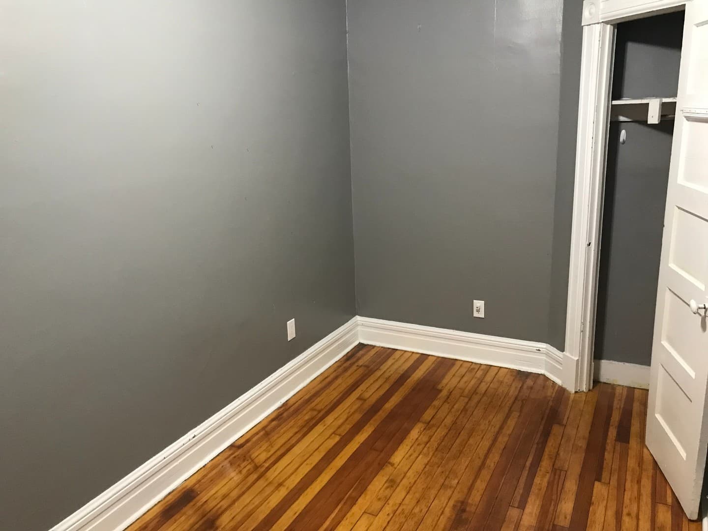 Albany Apartment: 58 Elberon Place