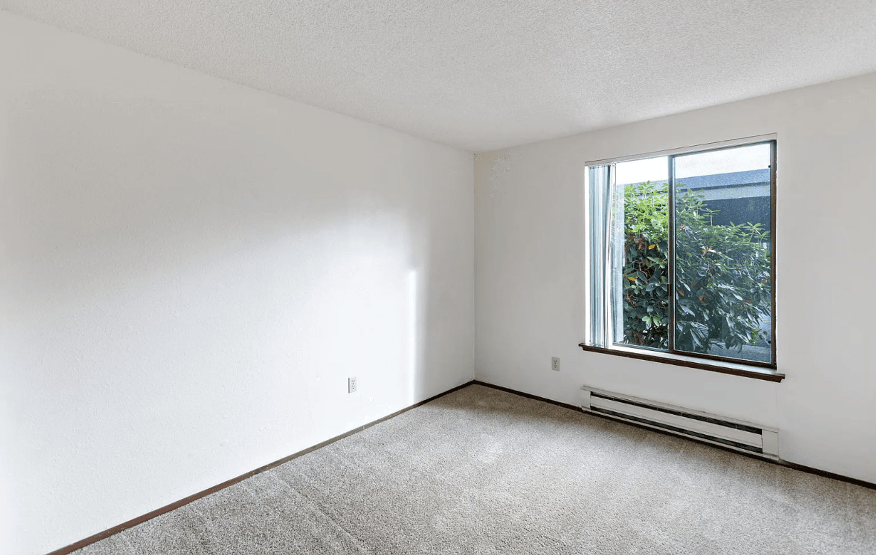 Enumclaw Apartment: 146 Leo Place Unit C
