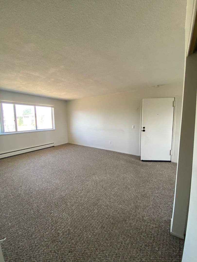 Rochester Apartment: 1031 Emerson St