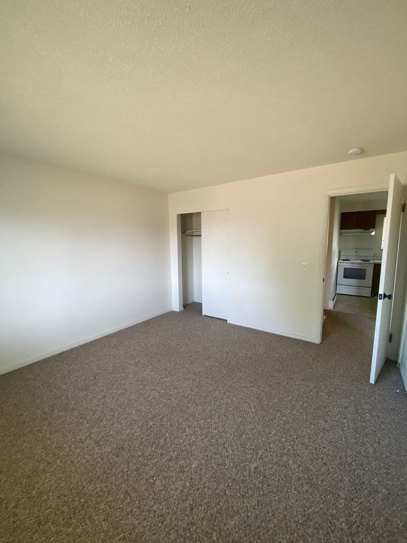 Rochester Apartment: 1031 Emerson St