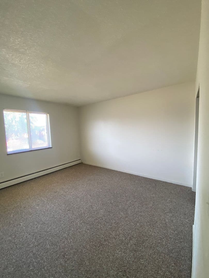 Rochester Apartment: 1031 Emerson St