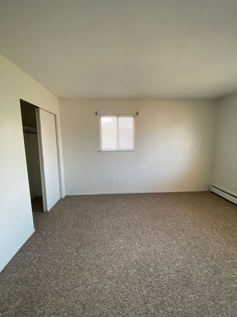 Rochester Apartment: 1031 Emerson St