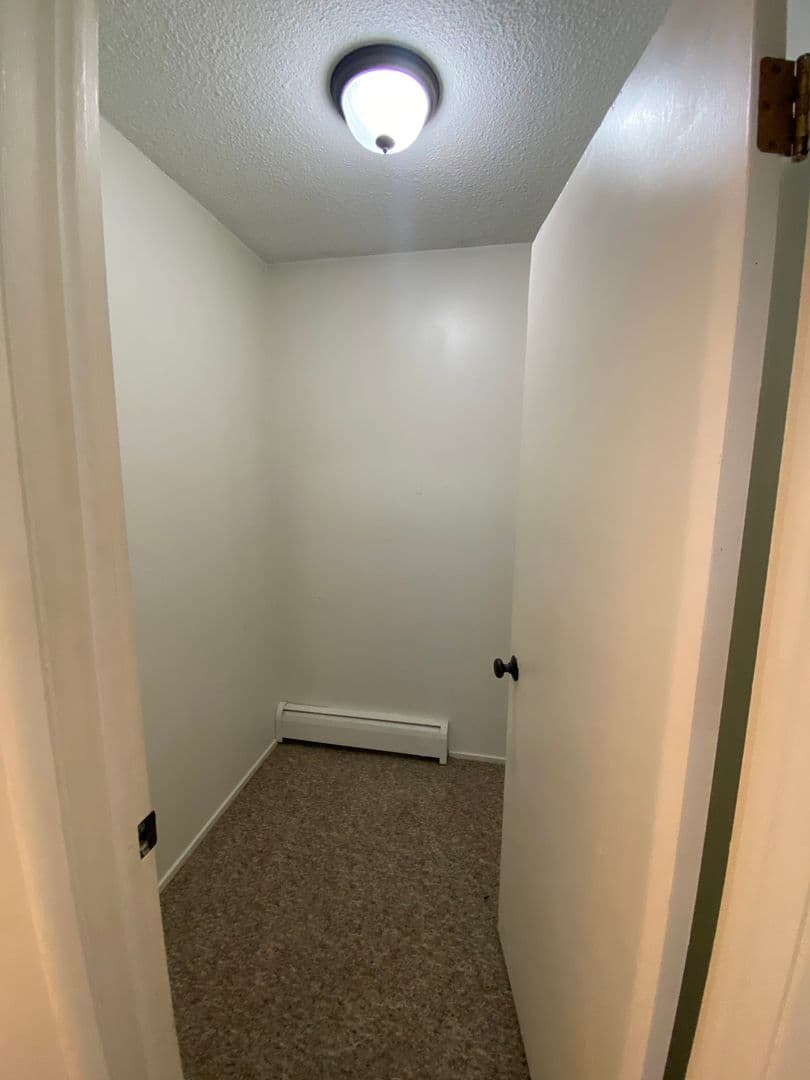 Rochester Apartment: 1031 Emerson St