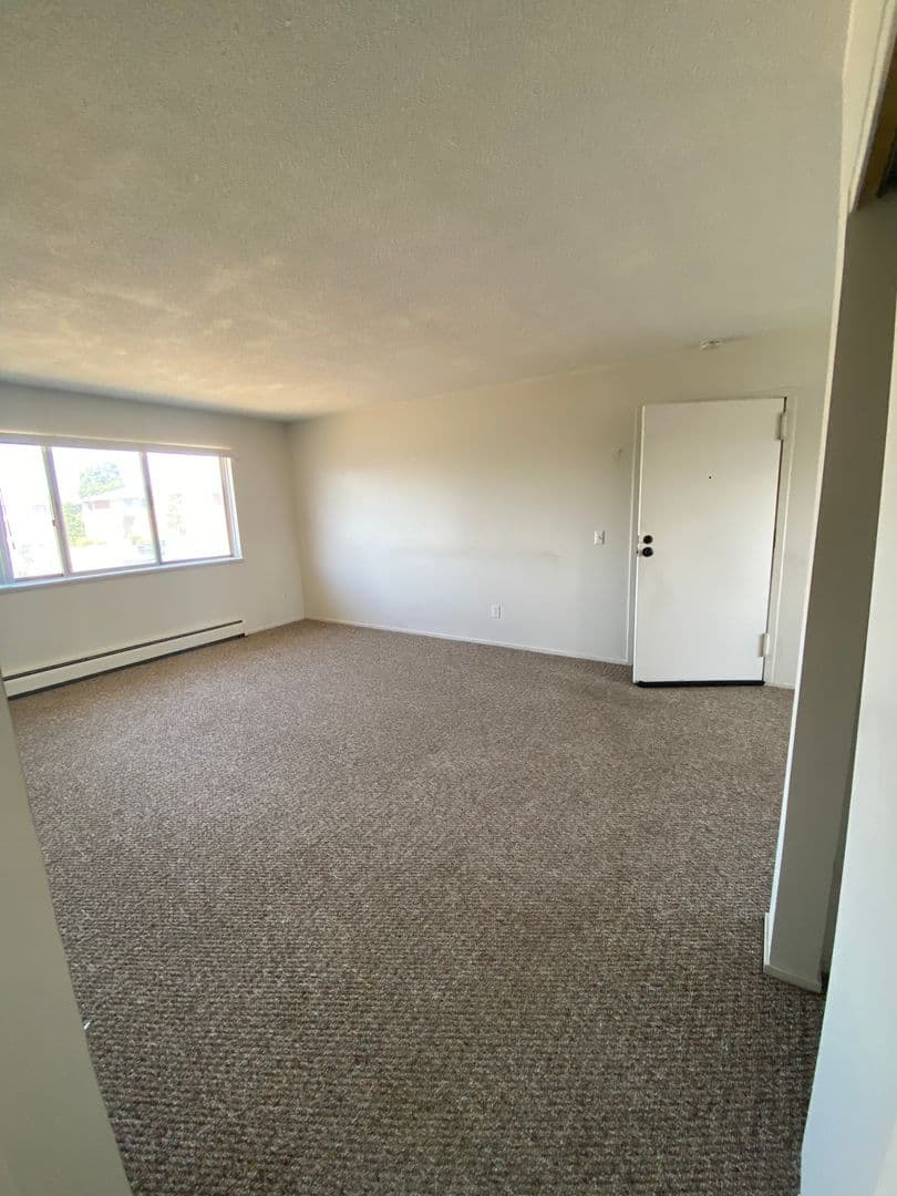 Rochester Apartment: 1031 Emerson St