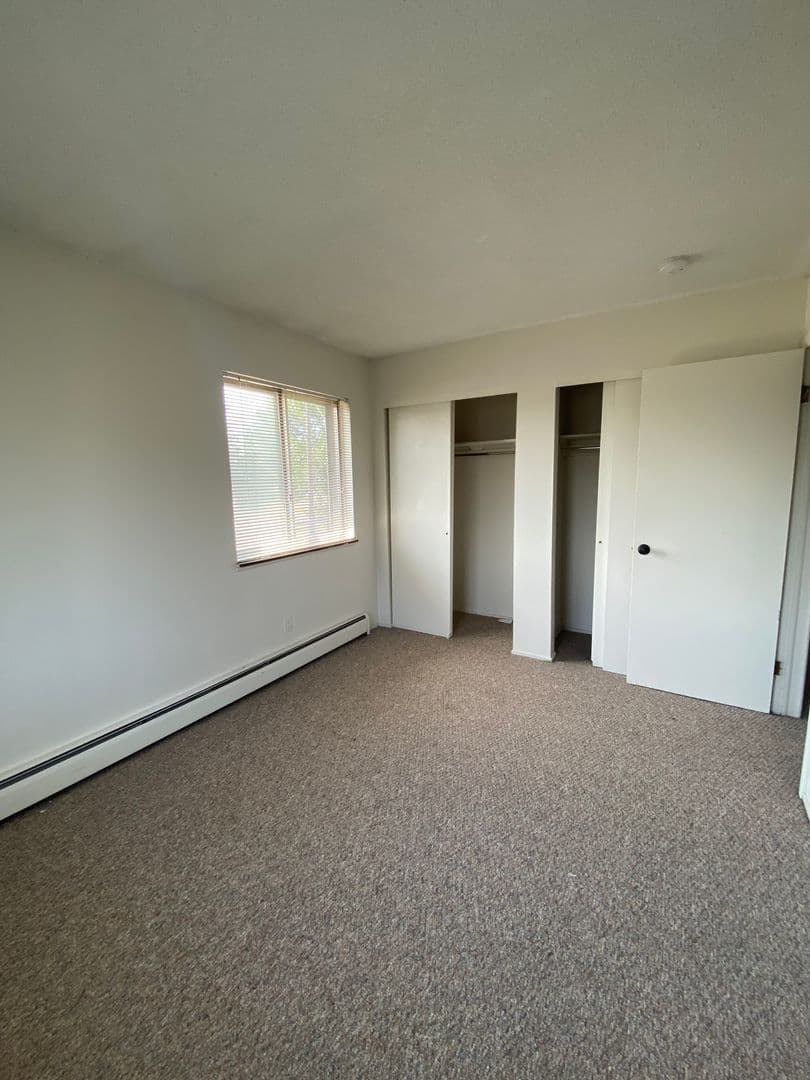Rochester Apartment: 1031 Emerson St