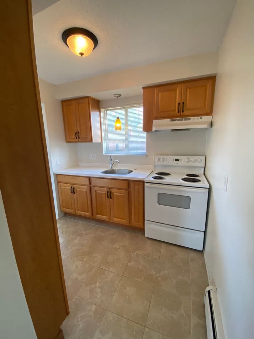 Rochester Apartment: 1031 Emerson St