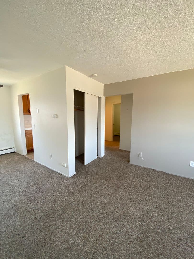Rochester Apartment: 1031 Emerson St