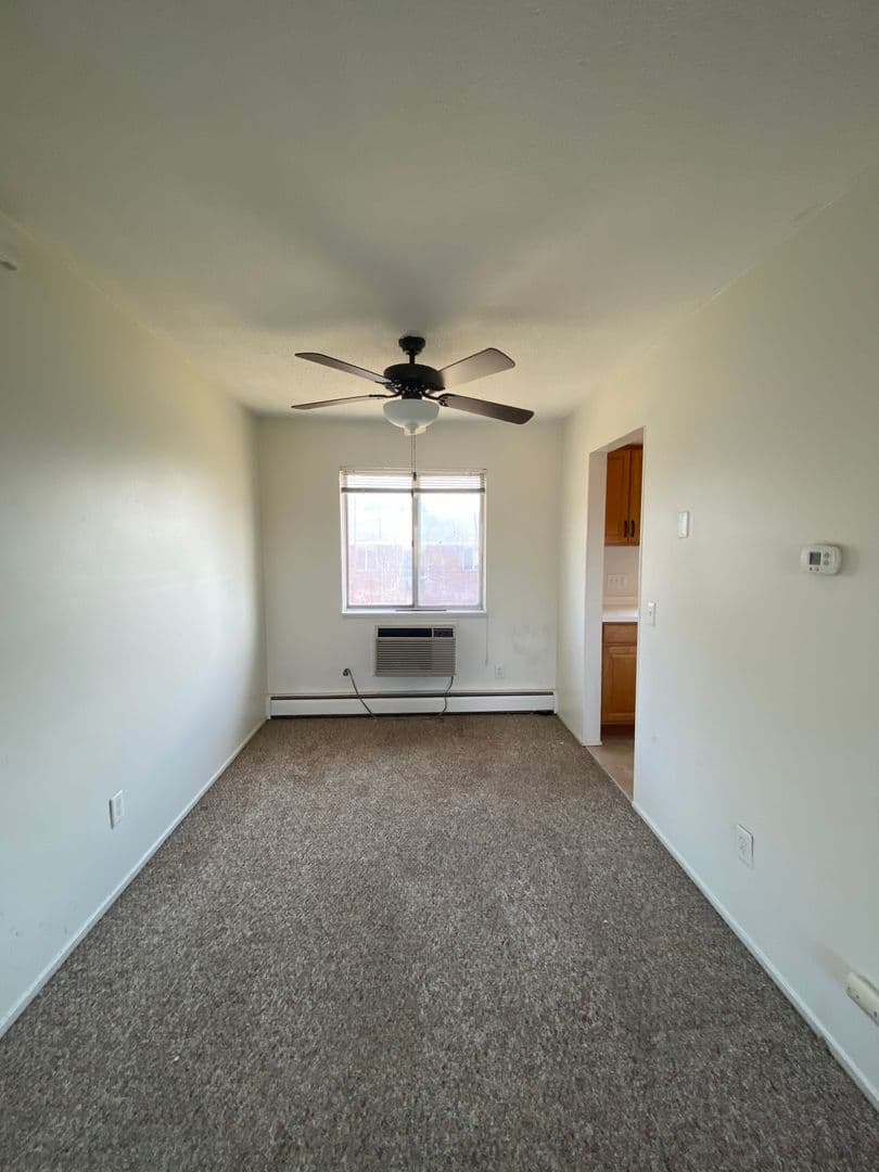 Rochester Apartment: 1031 Emerson St