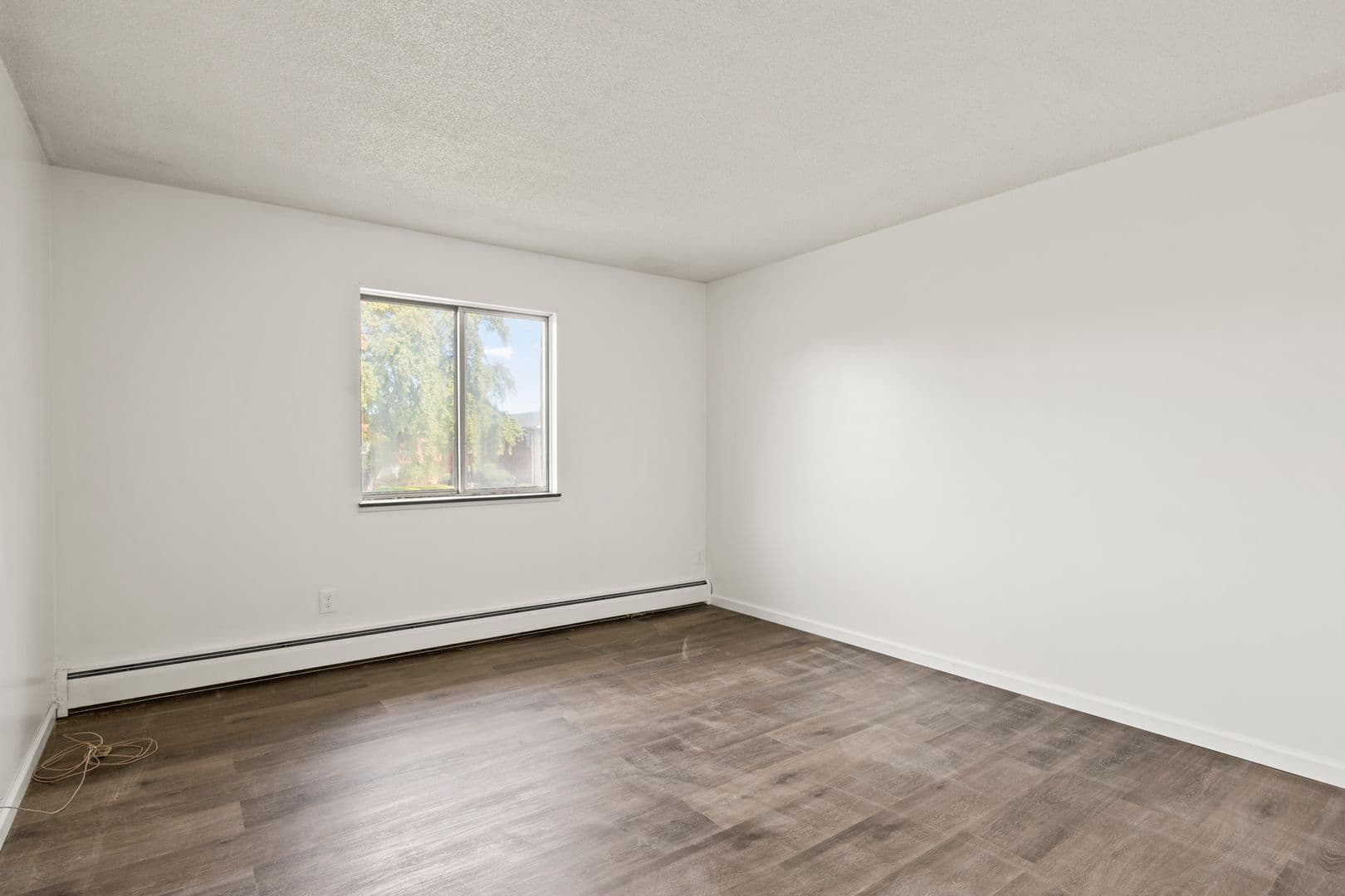 Rochester Apartment: 1031 Emerson St