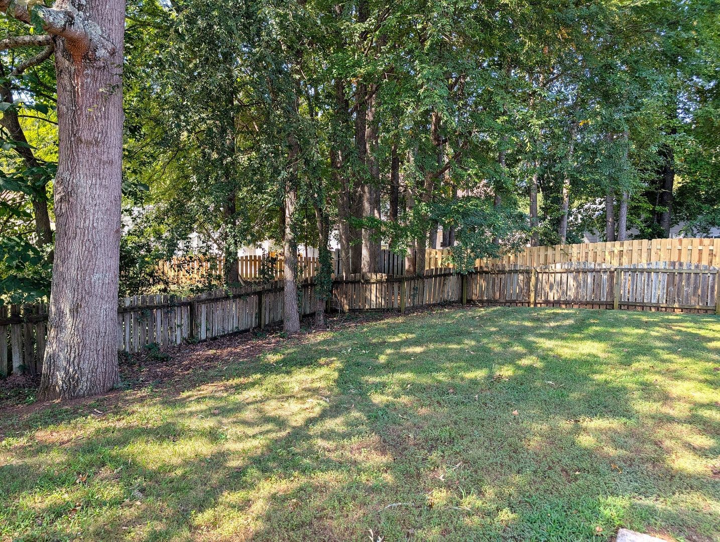Charlotte House: 11024 Sandboar Street