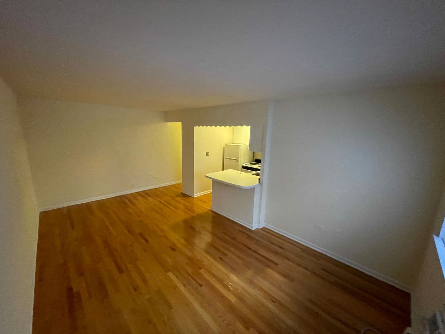 Chicago Apartment: 421-31 W. Barry