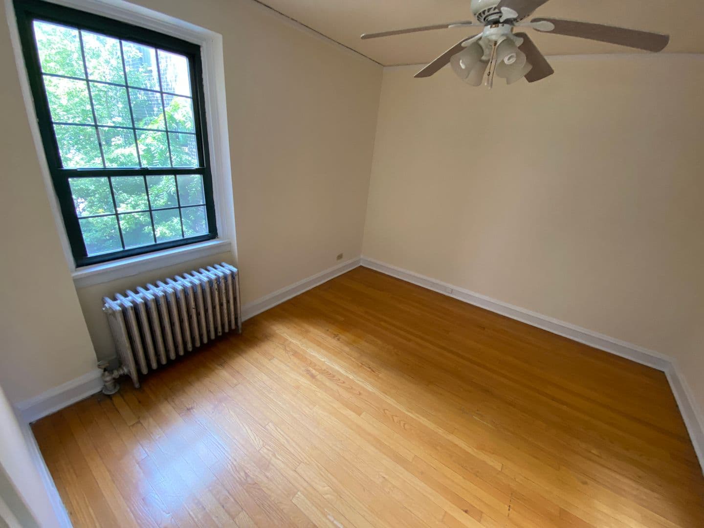 Evanston Apartment: 904 Hinman Avenue