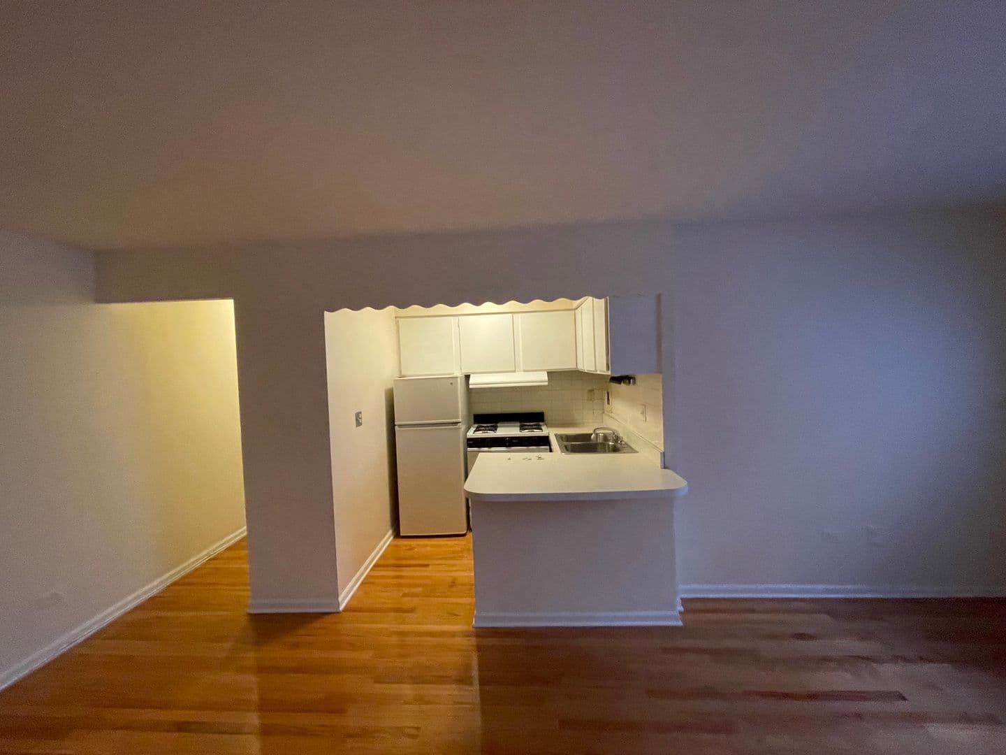 Chicago Apartment: 421-31 W. Barry