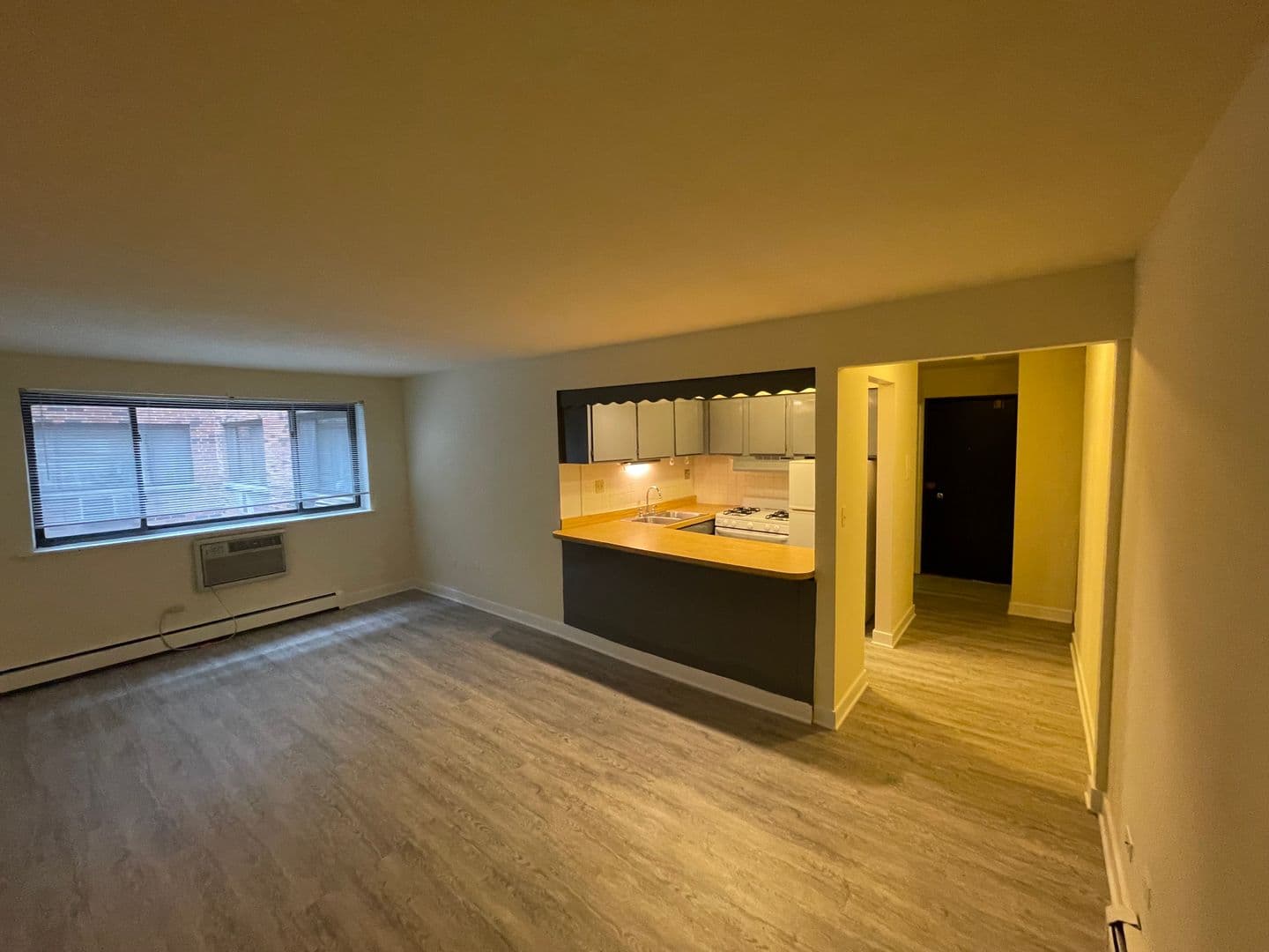 Chicago Apartment: 421-31 W. Barry